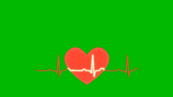 Red heart icon with a white ECG heartbeat line across it on a bright green background.